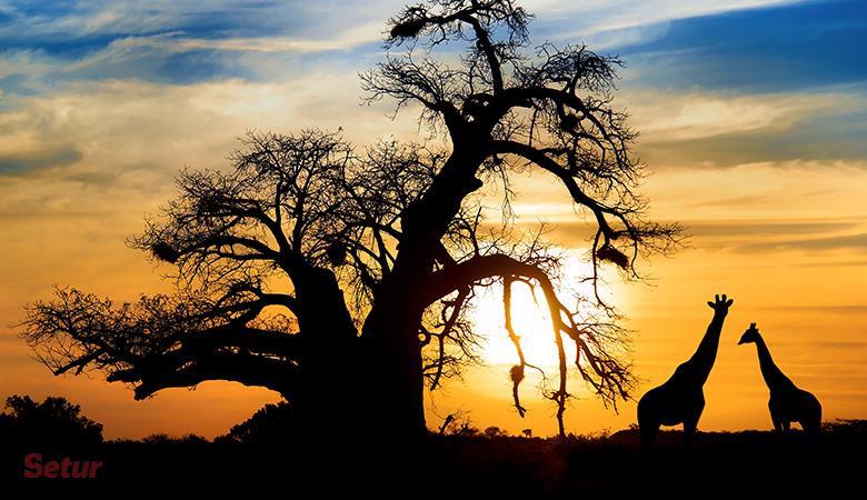 Dolu Dolu Güney Afrika Safari Turu Rotası V2